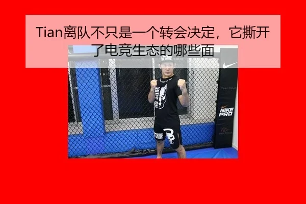 Tian离队不只是一个转会决定，它撕开了电竞生态的哪些面